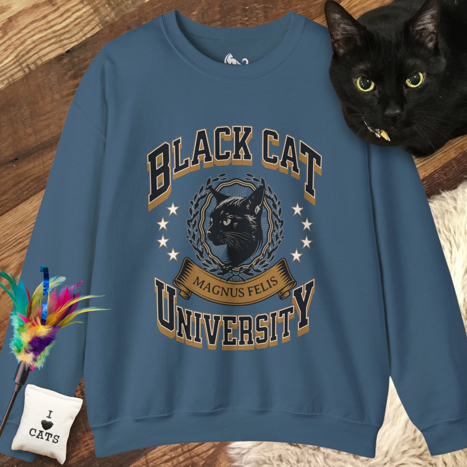 Midnight Mouser - Black Cat University Sweatshirt