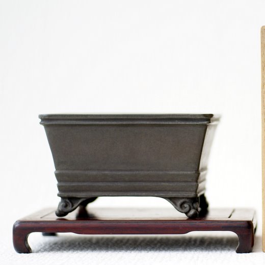 陶翠 - 市川三郎の「プチ盆栽日記」