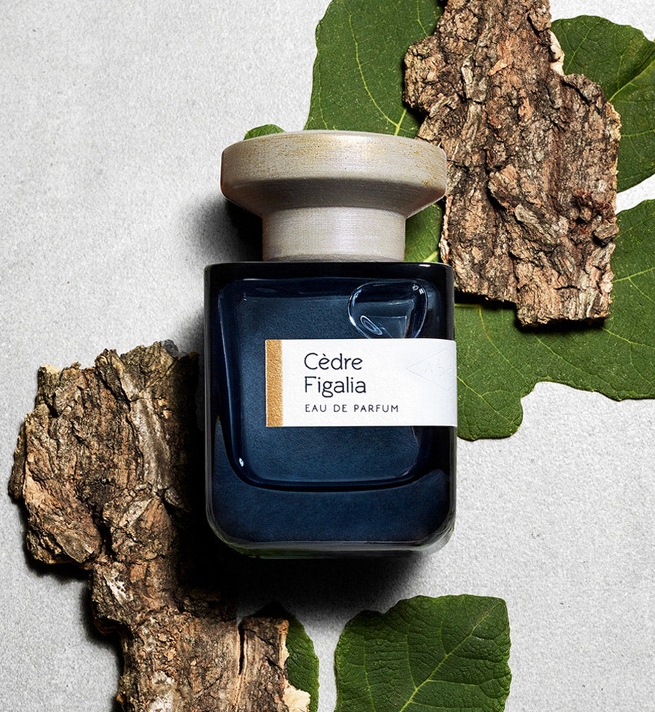 Cedre Figalia - Vegetal, Woody Unisex Perfume | Atelier Materi