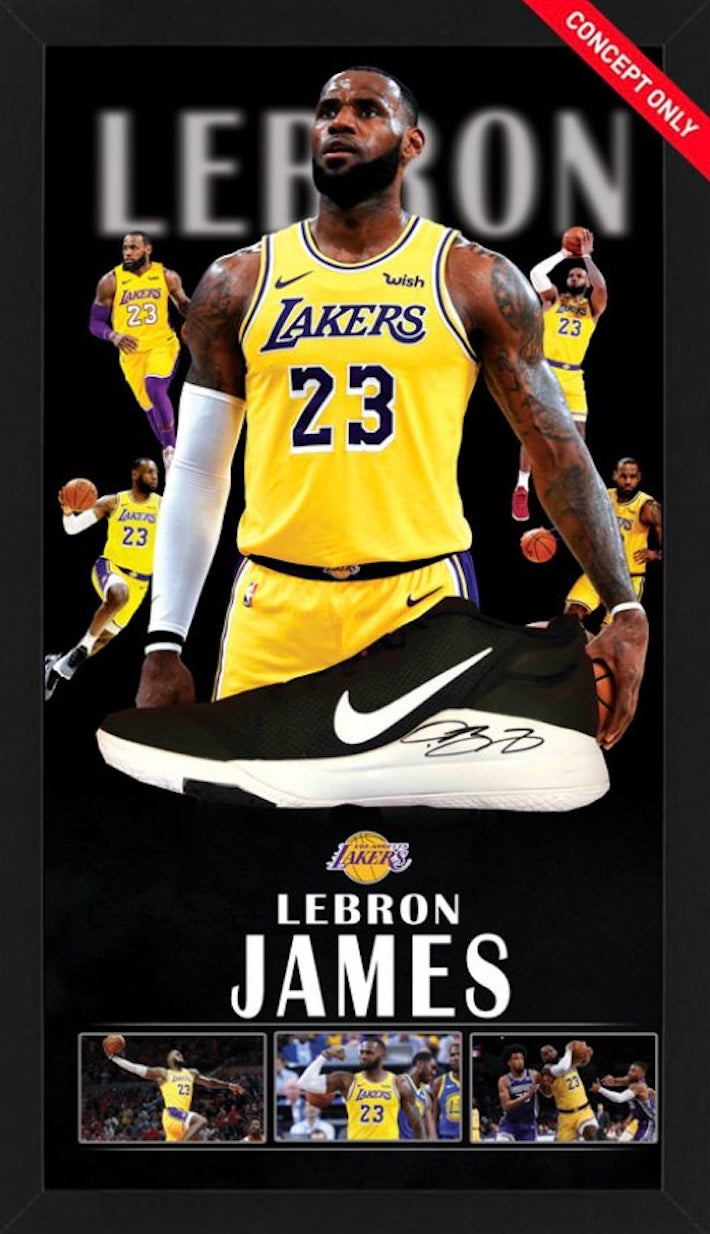 直筆サイン入り】レブロンジェームズ バスケットシューズ（片足