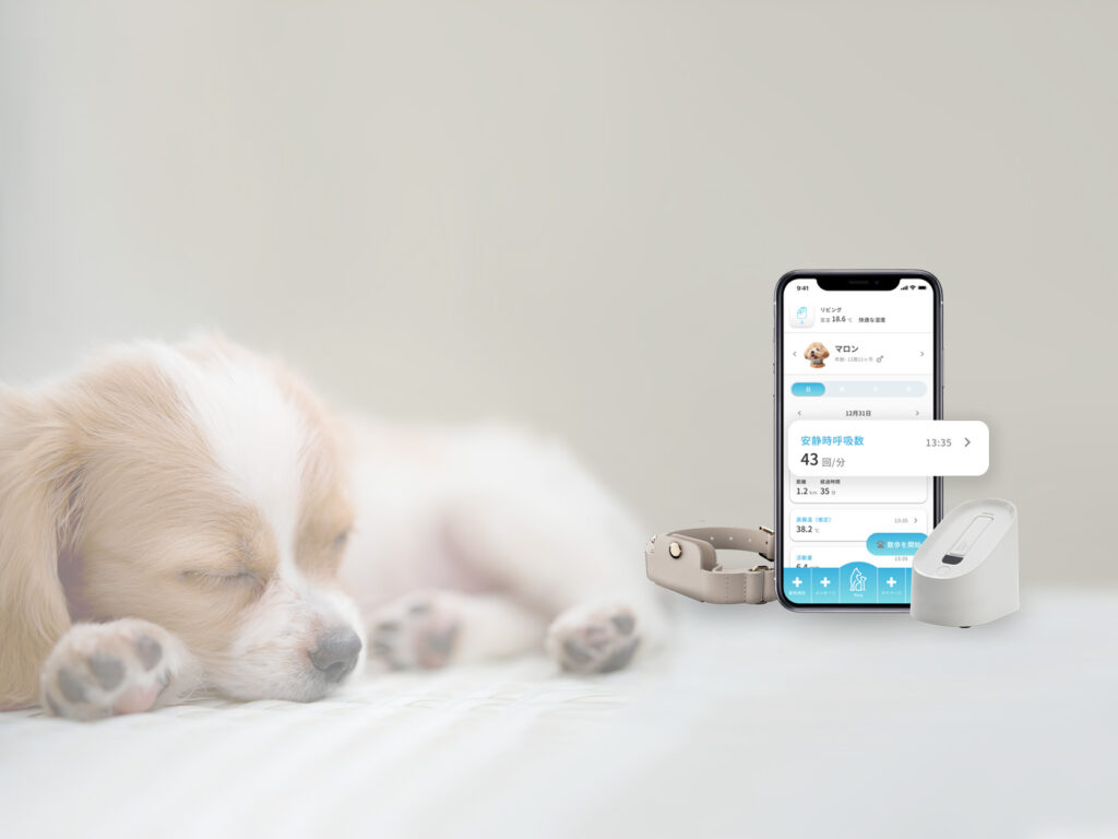わんちゃん・ねこちゃんの呼吸数を管理できる！？ウェアラブルデバイス