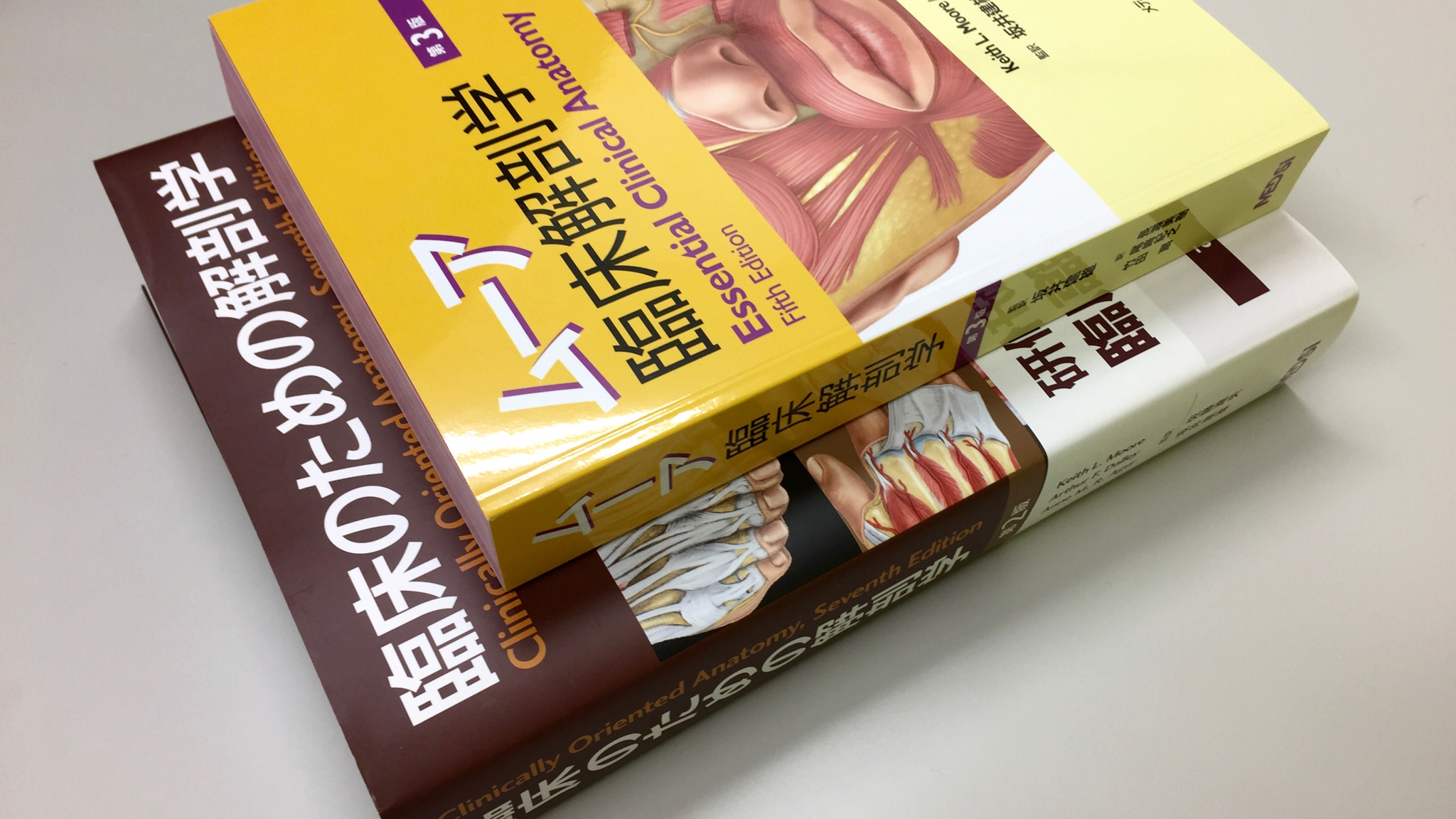 ムーア臨床解剖学 第3版 / Anatomy 今日も明日も/ムーア臨床解剖学 第3版