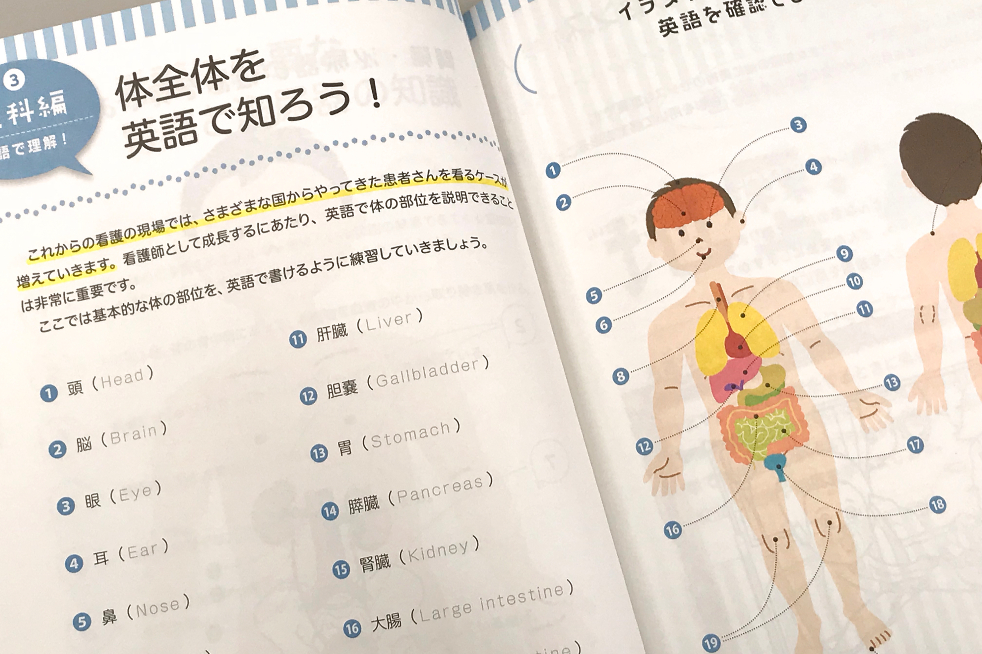 看護学校入学前ドリル・漢字で覚える解剖ドリル / Anatomy 今日も明日