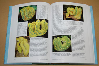 動植物関連書籍 ＞ 爬虫類 ＞ ヘビ ＞ ボア・パイソン ＞ 更に完璧な