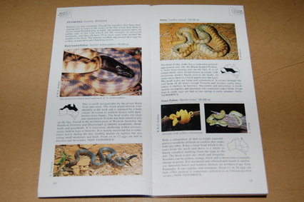 動植物関連書籍 ＞ 爬虫類 ＞ 国・地域別爬虫類 ＞ オーストラリア