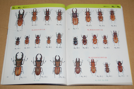 動植物関連書籍 ＞ 節足動物 ＞ 昆虫（甲虫） ＞ 台湾のクワガタ図鑑