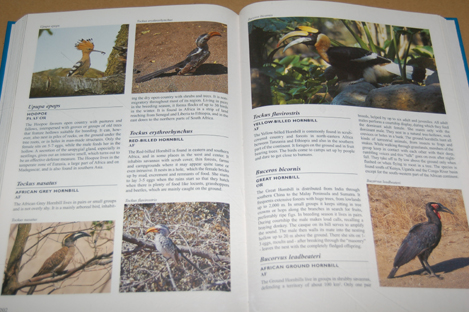 動植物関連書籍 ＞ 鳥類 ＞ その他の鳥 ＞ 世界の鳥類図鑑