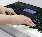 CTK-4200 - ベーシックキーボード - 電子楽器 - CASIO