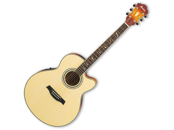 Ibanez AEL20E / AEL40SEジャンク ケース付 Ibanez AEL20E / AEL40SE