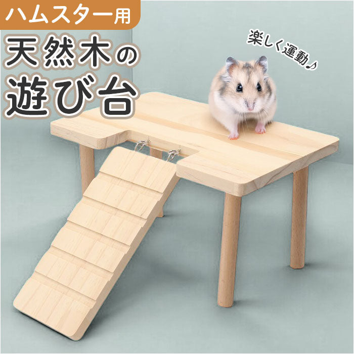 kpet44_1200x1200.jpg?v=1730079728