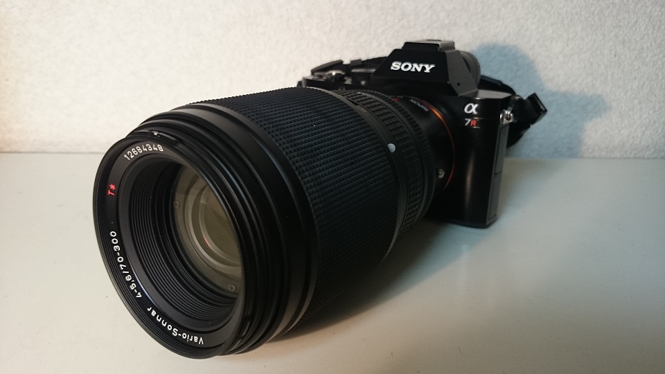 Contax N 70-300mm Vario-Sonnar F4-5.6 | No Surprises