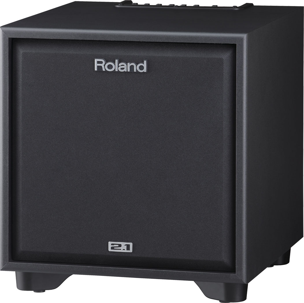 Roland - CM-220 | CUBE Monitor