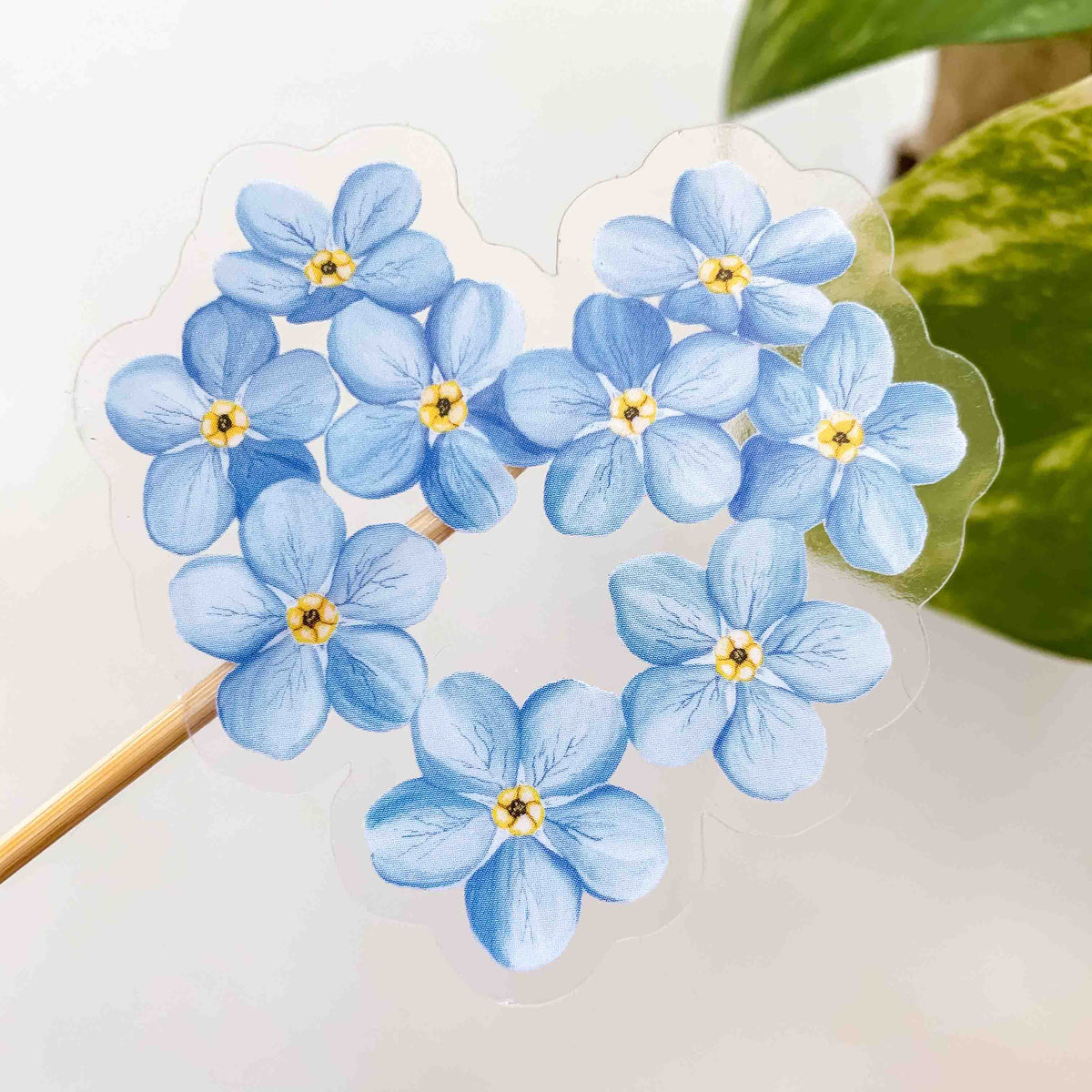 CLEAR Heart-shaped Forget Me Not Sticker – Daisy Vibe