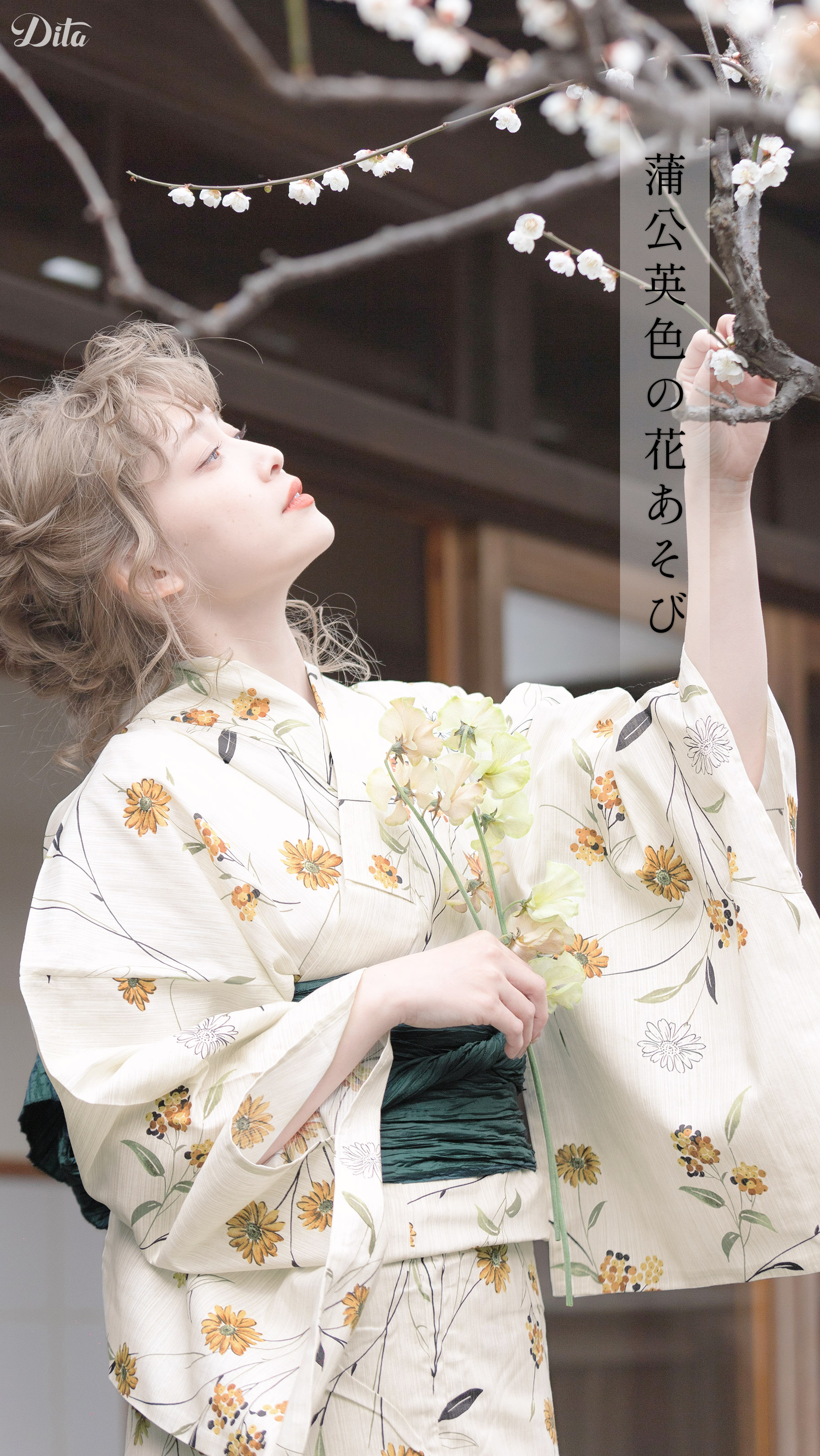 2023年 Dita♥ 先行予約 浴衣カタログ