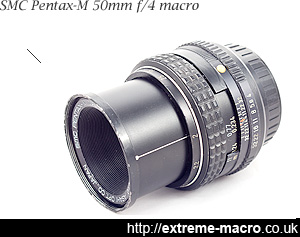SMC Pentax-M 50 mm f4 macro, a gorgeous manual macro lens for pentax