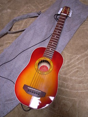 こととねお試しBlog: K. Yairi LADY BIRD