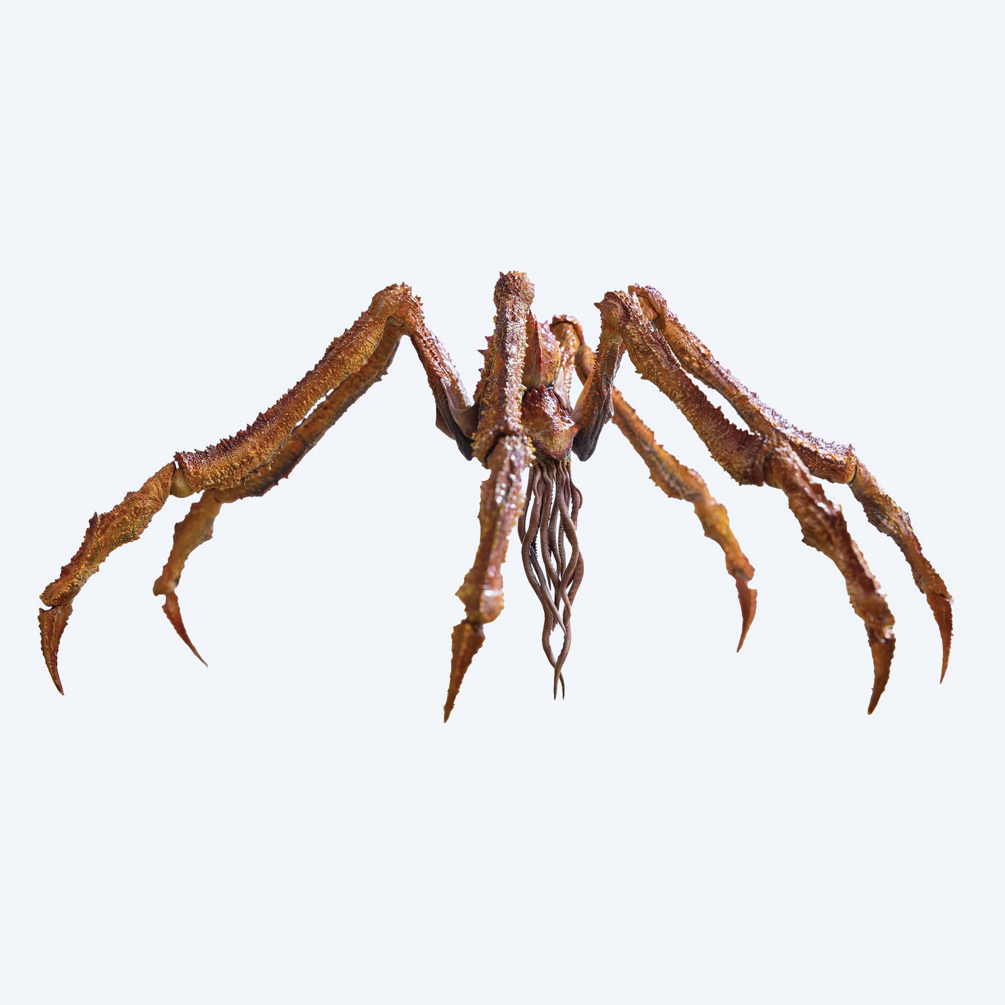 HIYA EXQ Basic Series Godzilla x Kong: The New Empire Scylla