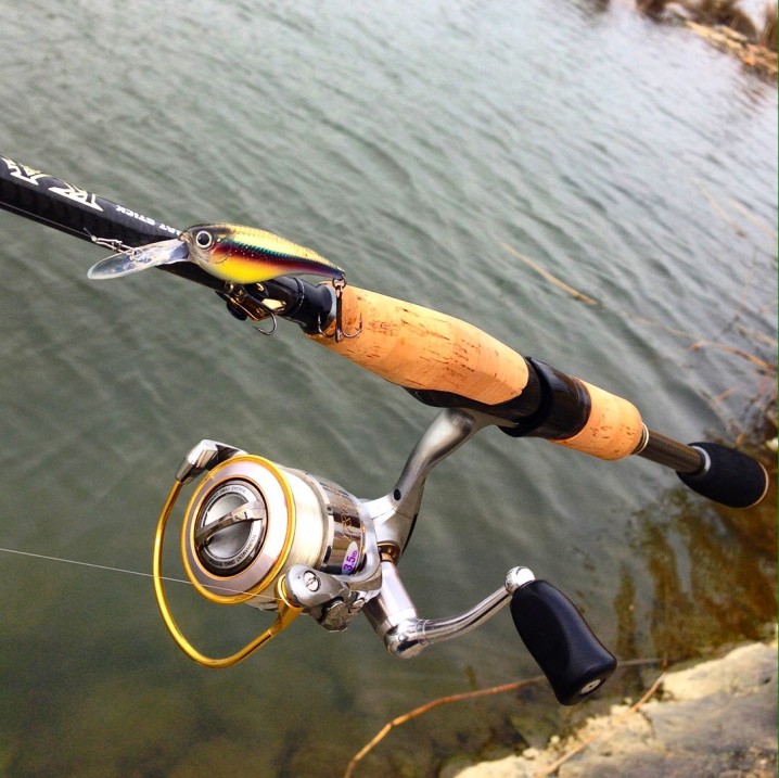 カレイドセルペンティ64MST スピンサーペント ロデオライド イマカツ