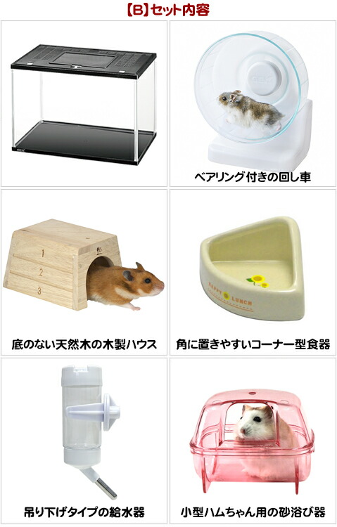 28周年セール中】400Highシャンガリアン飼育6点セット【一度のご注文で