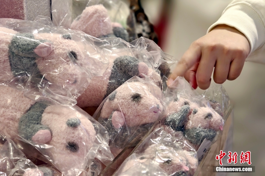 中国から香港特区に贈られたパンダが8日から公開へ 街中にもパンダ歓迎