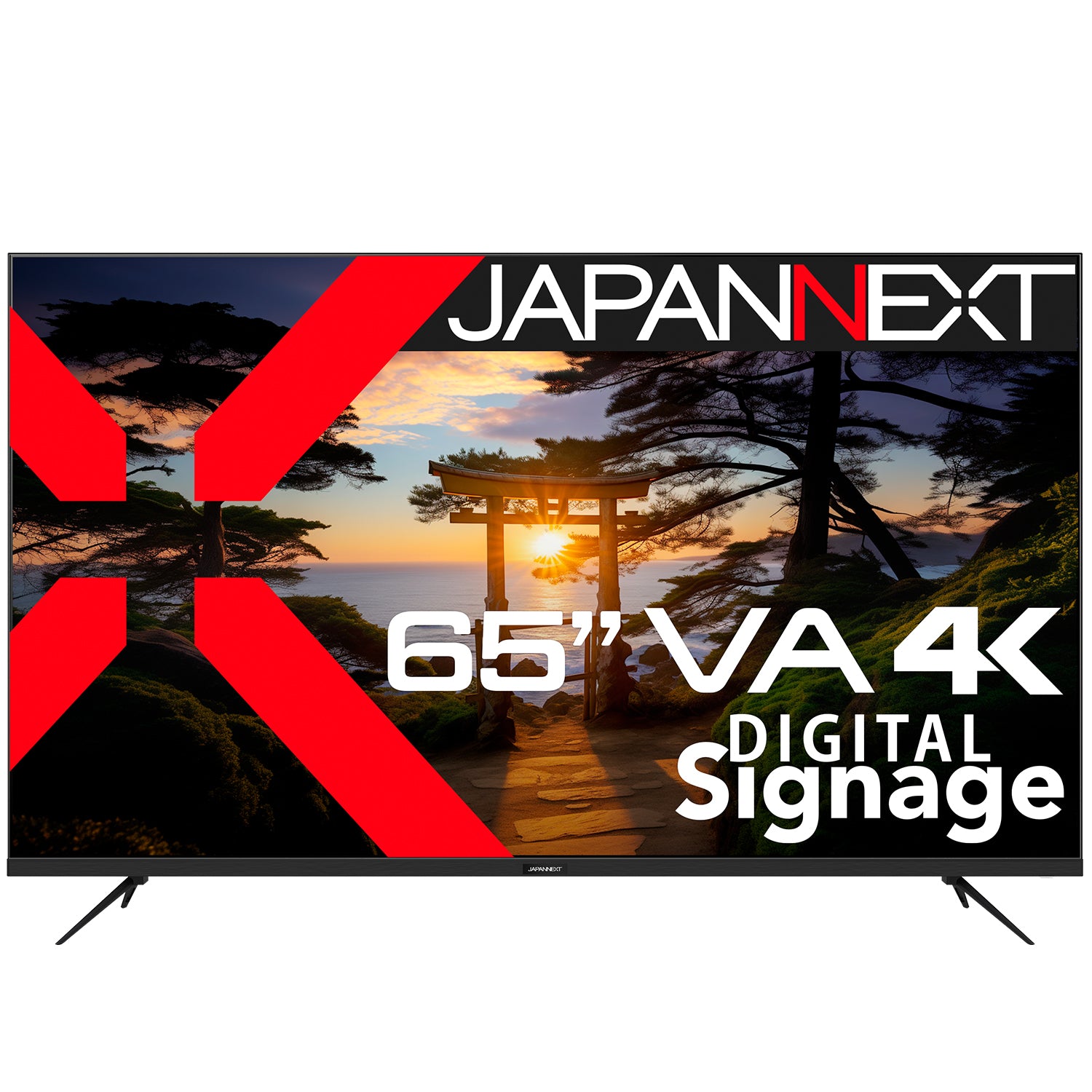 JAPANNEXT 65インチ VAパネル搭載 4K(3840x2160)解像度 大型液晶