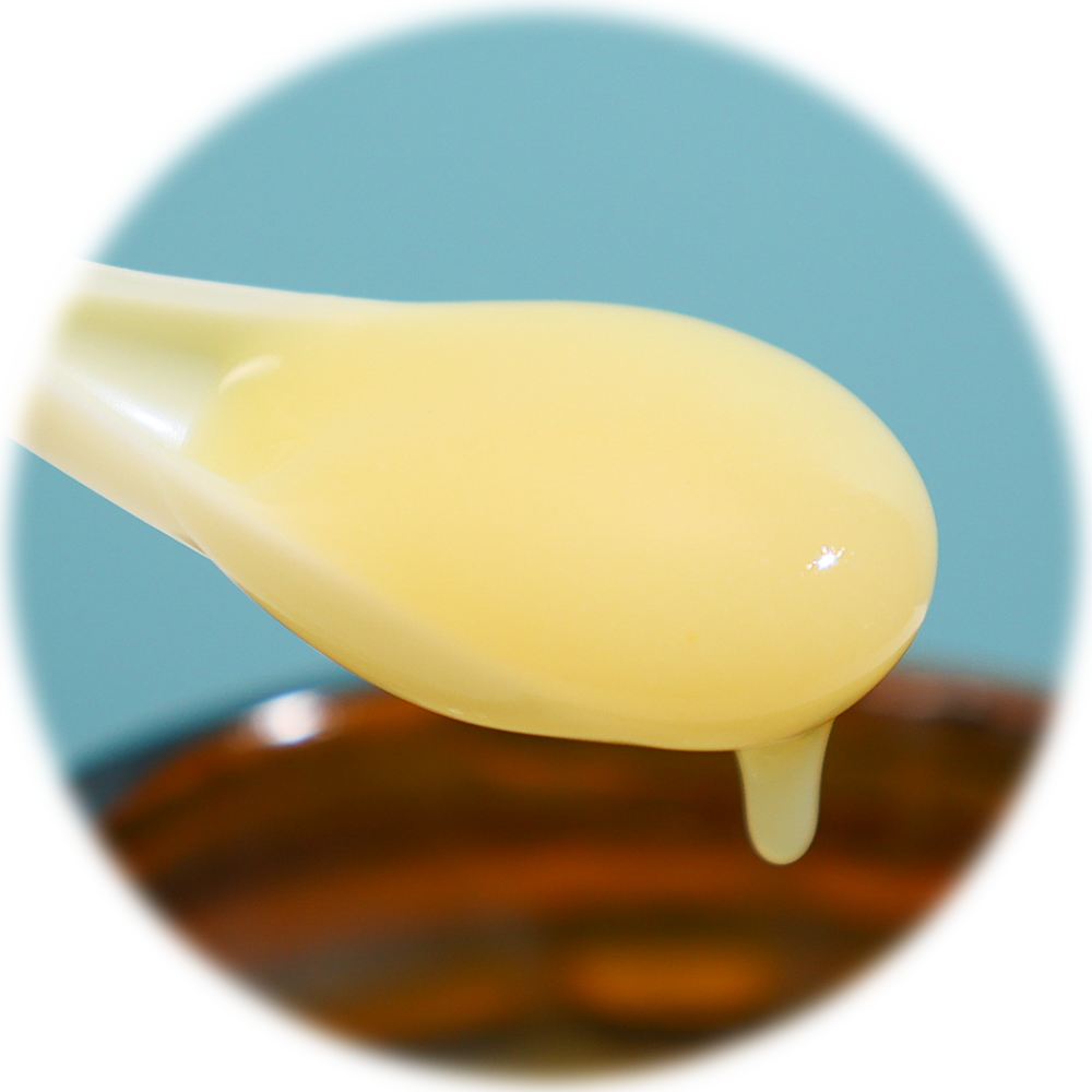 MACCHA∗ Clear Essence | KYOTO KOMACHI Cosmetics