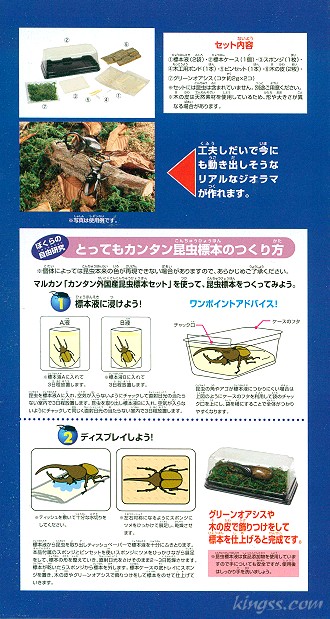 マルカンのカンタン外国産昆虫標本セット販売-ヘラクレスやコーカサス