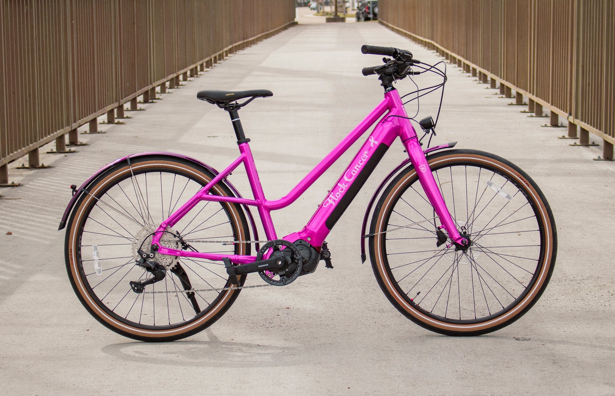 Bridge_pics_17.jpg?v=