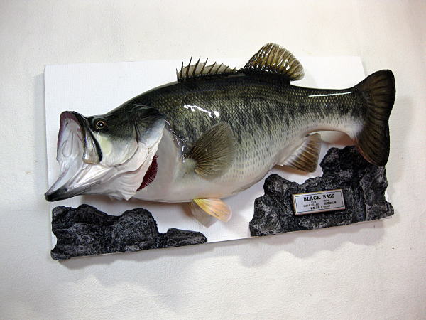 ブラックバス剥製作品集 No.17