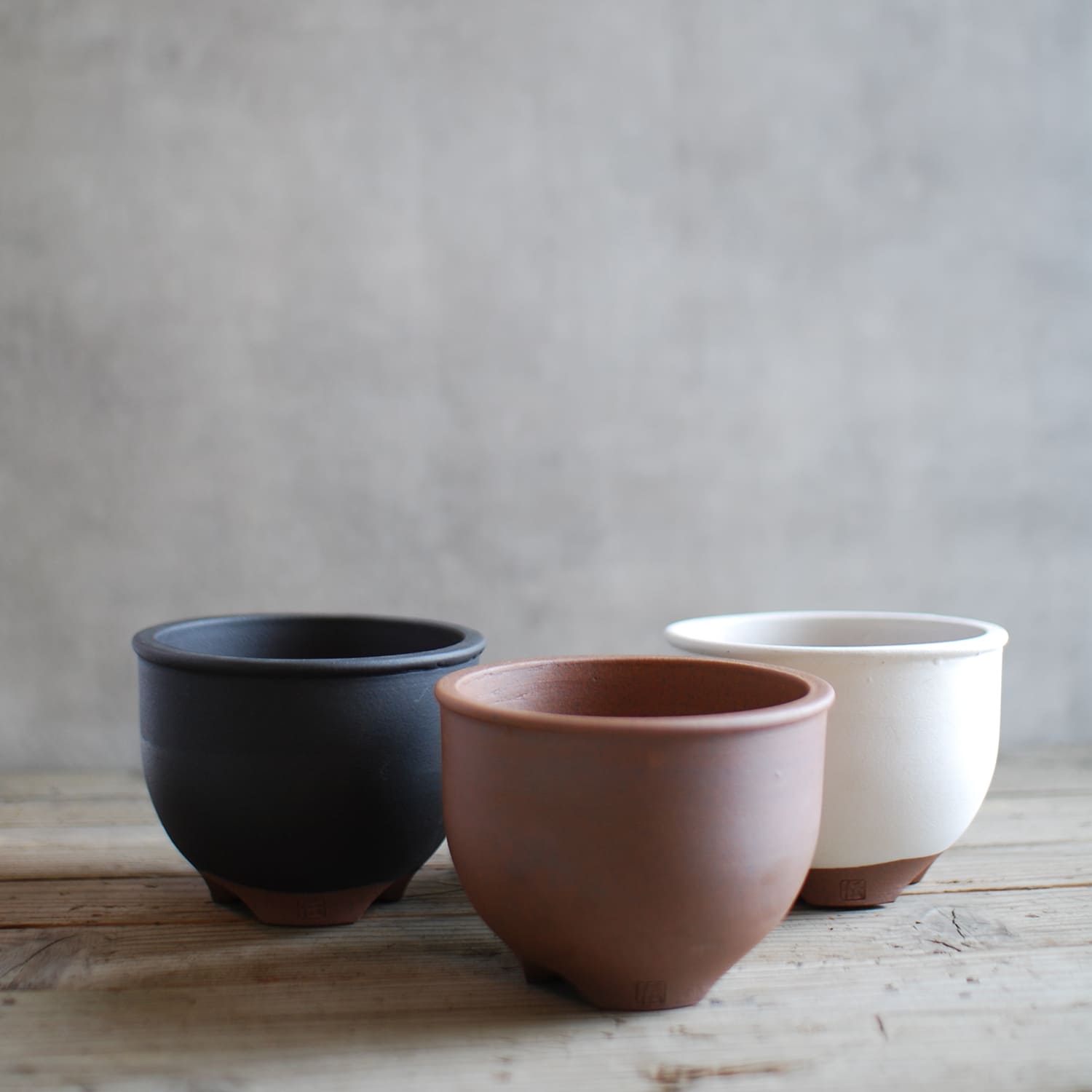 伝市鉢 – linkplants -リンクプランツ-