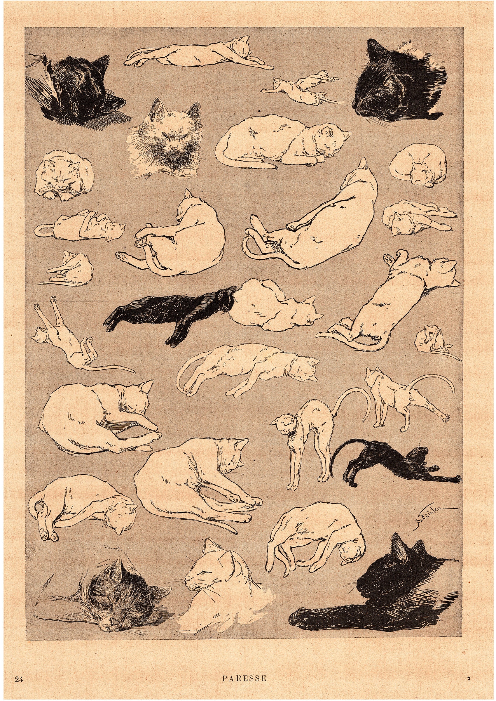 テオフィル・スタンラン ≪怠惰な猫たち≫ 1898年 『猫たち』より