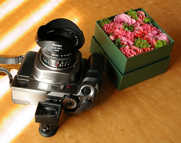 Mamiya7_2.jpg