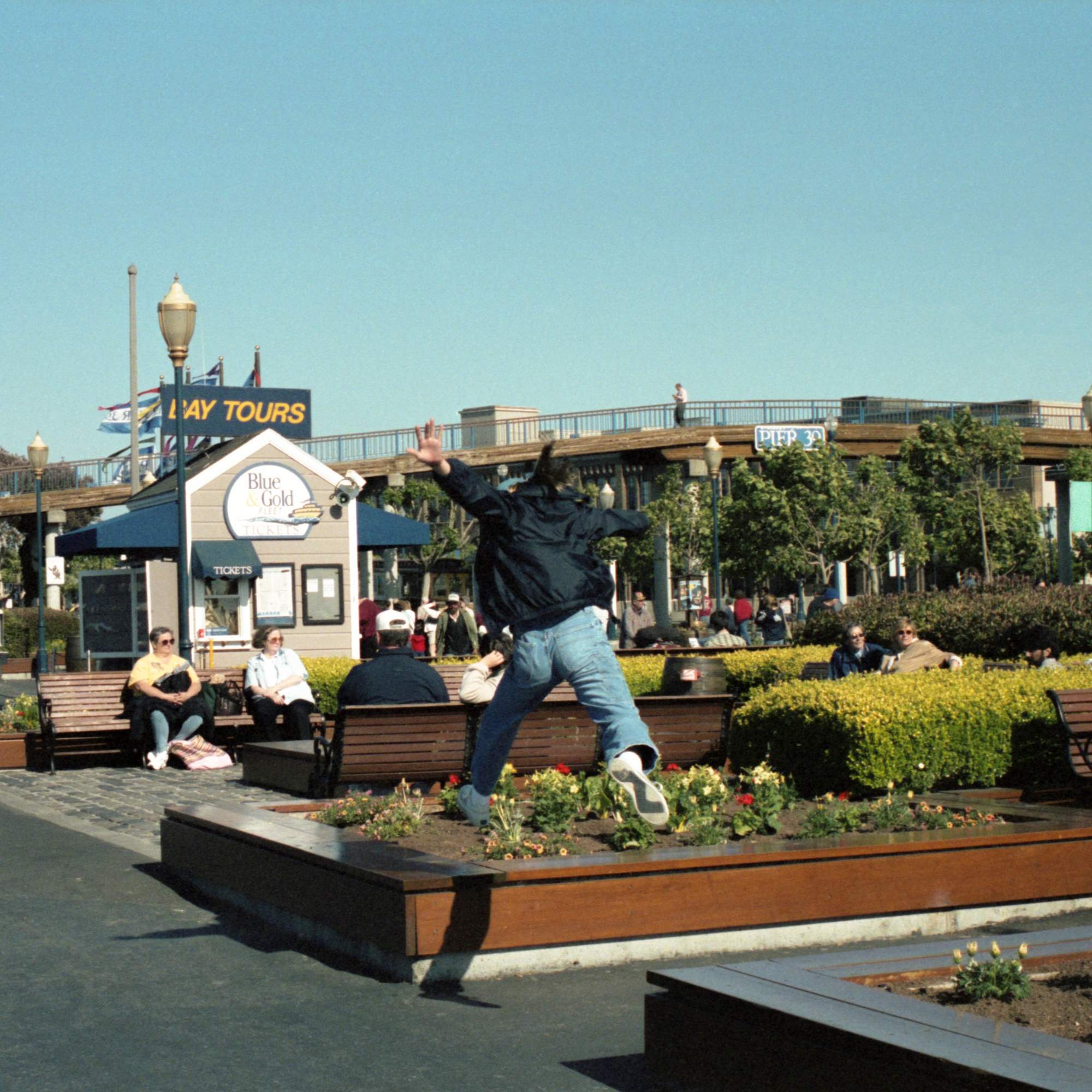 サニーデイ・サービス『サニービート』CD・LP・カセットーテプ本日発売