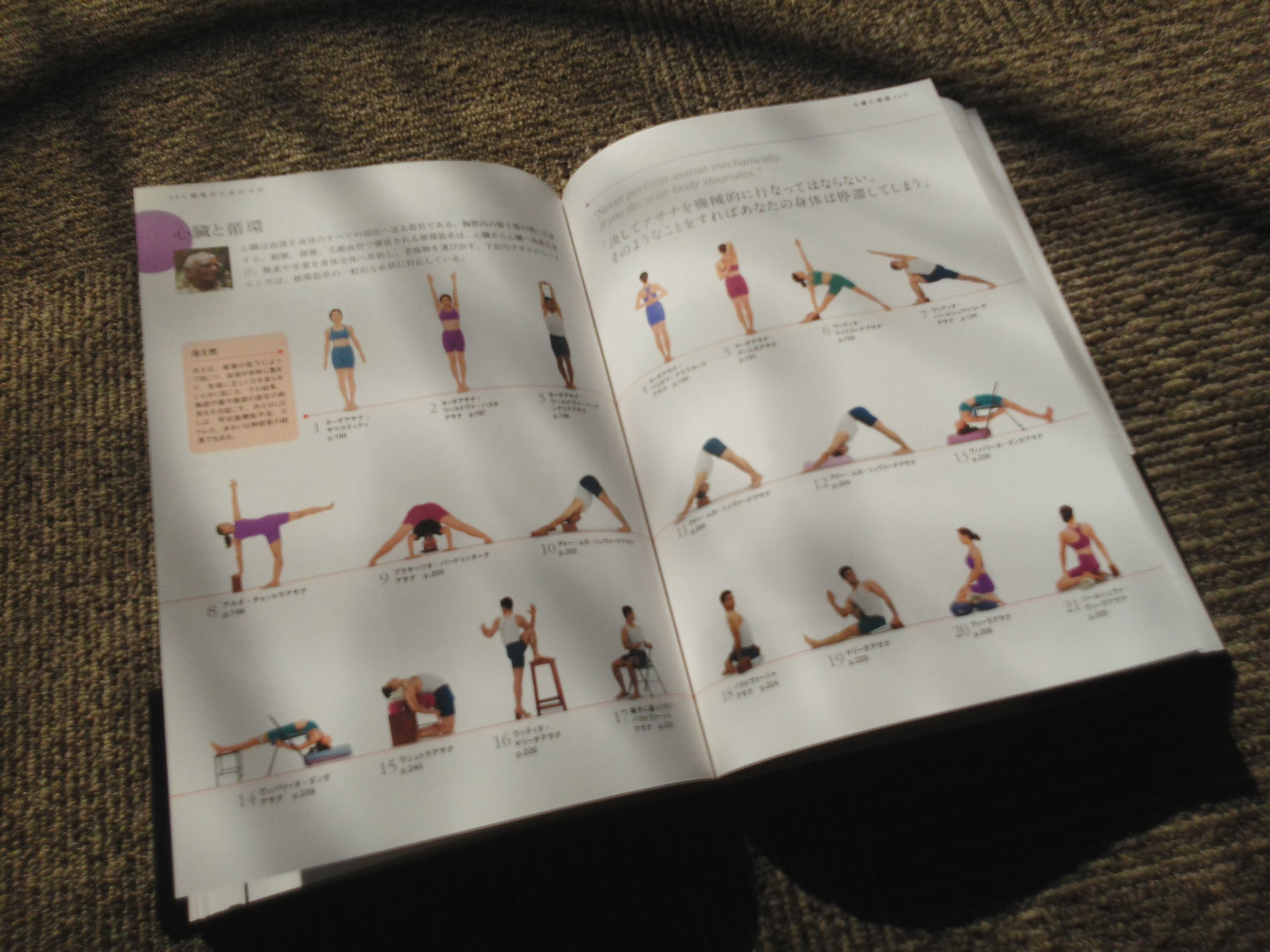 YOGA SADHANA: アイアンガーヨガ完全マニュアル