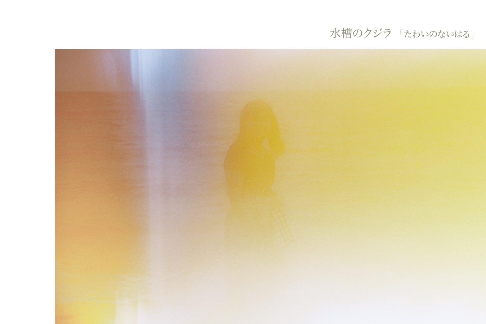 水槽のクジラ Official Website » Discography