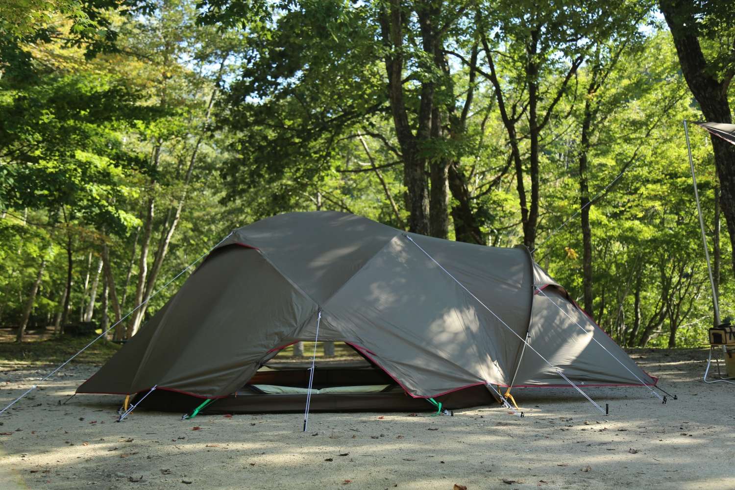 Exclusive Family Set WILD-1 35周年別注モデル ｜ スノーピークストア