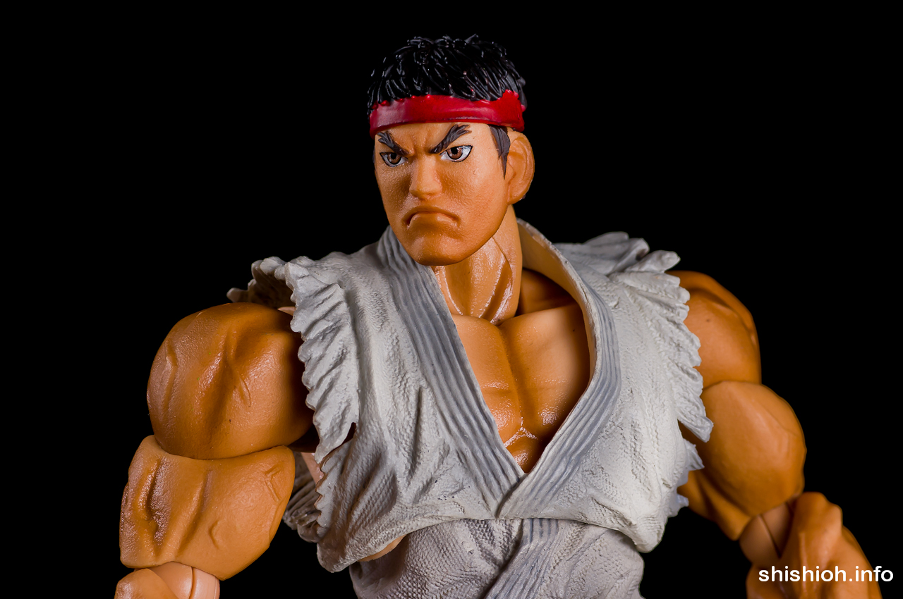 レビュー】 スクウェア・エニックス プレイアーツ改 Vol.1 リュウ