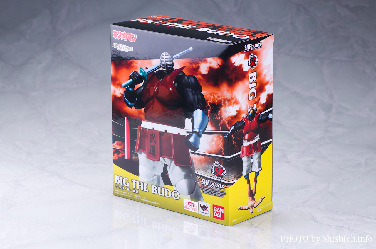 レビュー】 バンダイ 魂ウェブ商店 S.H.Figuarts ビッグ・ザ・武道