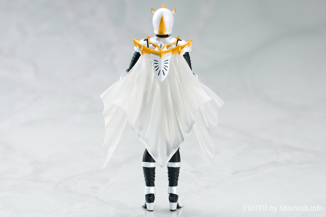 レビュー】 バンダイ 魂ウェブ商店 S.H.Figuarts 仮面ライダーファム