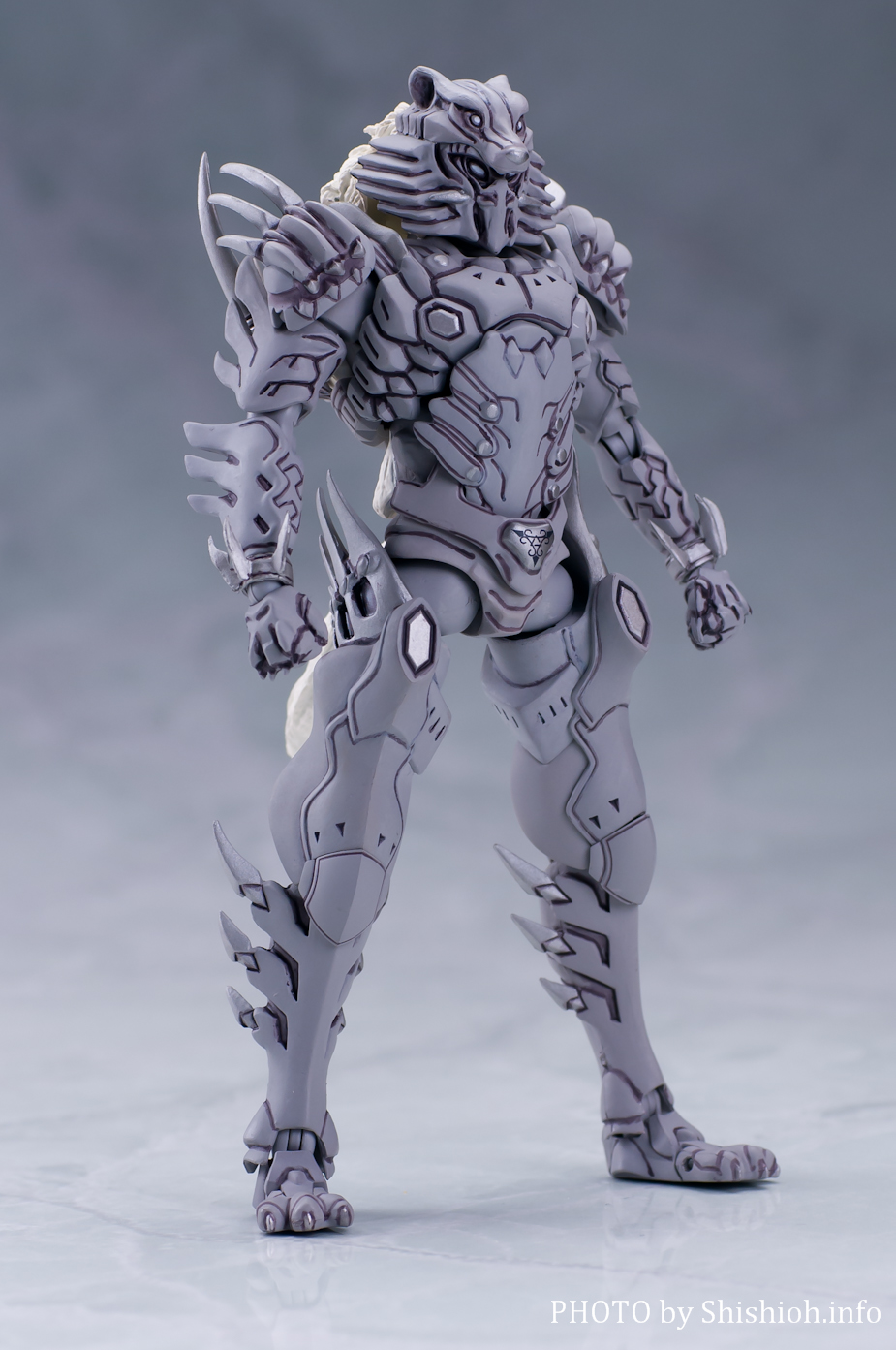 レビュー】 バンダイ 魂ウェブ商店 S.H.Figuarts ウルフオルフェノク