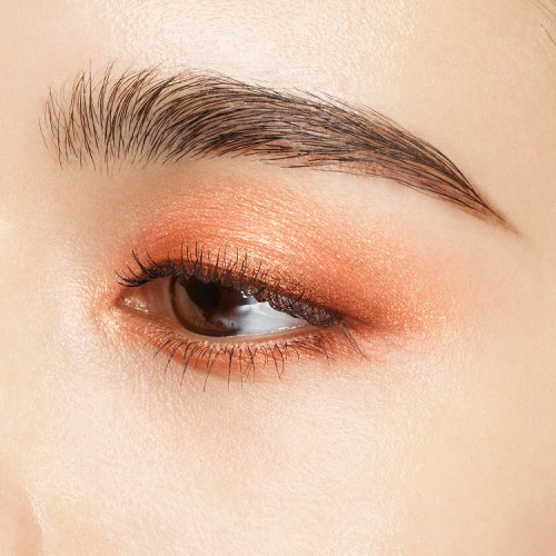 シグニチャー カラー アイズ|SUQQU|アイシャドウ|小田急百貨店