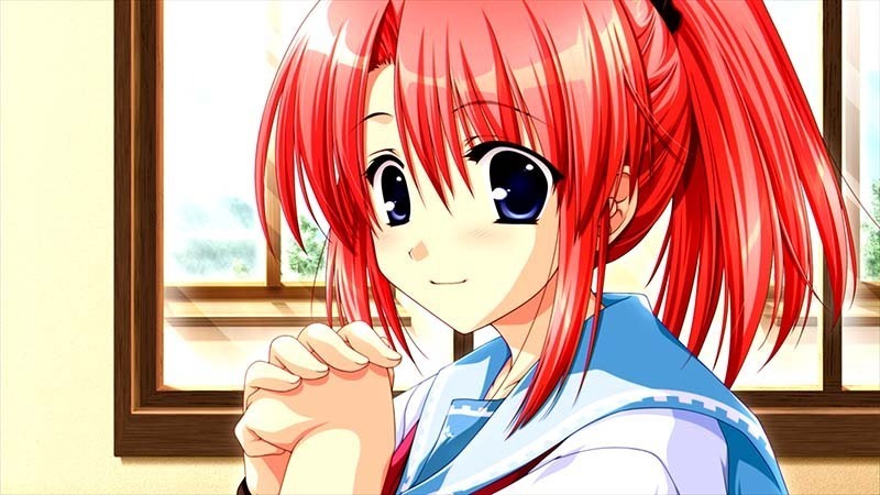 車輪の国、向日葵の少女 】1日を12時間に減らされた少女の葛藤から学ぶ