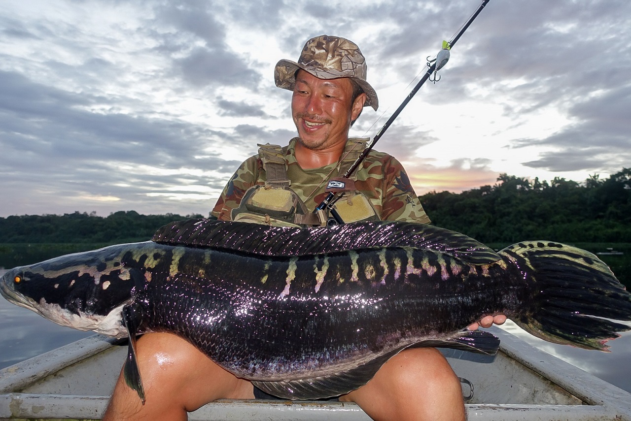 TULALA | Ford every stream | » El Horizonte 70