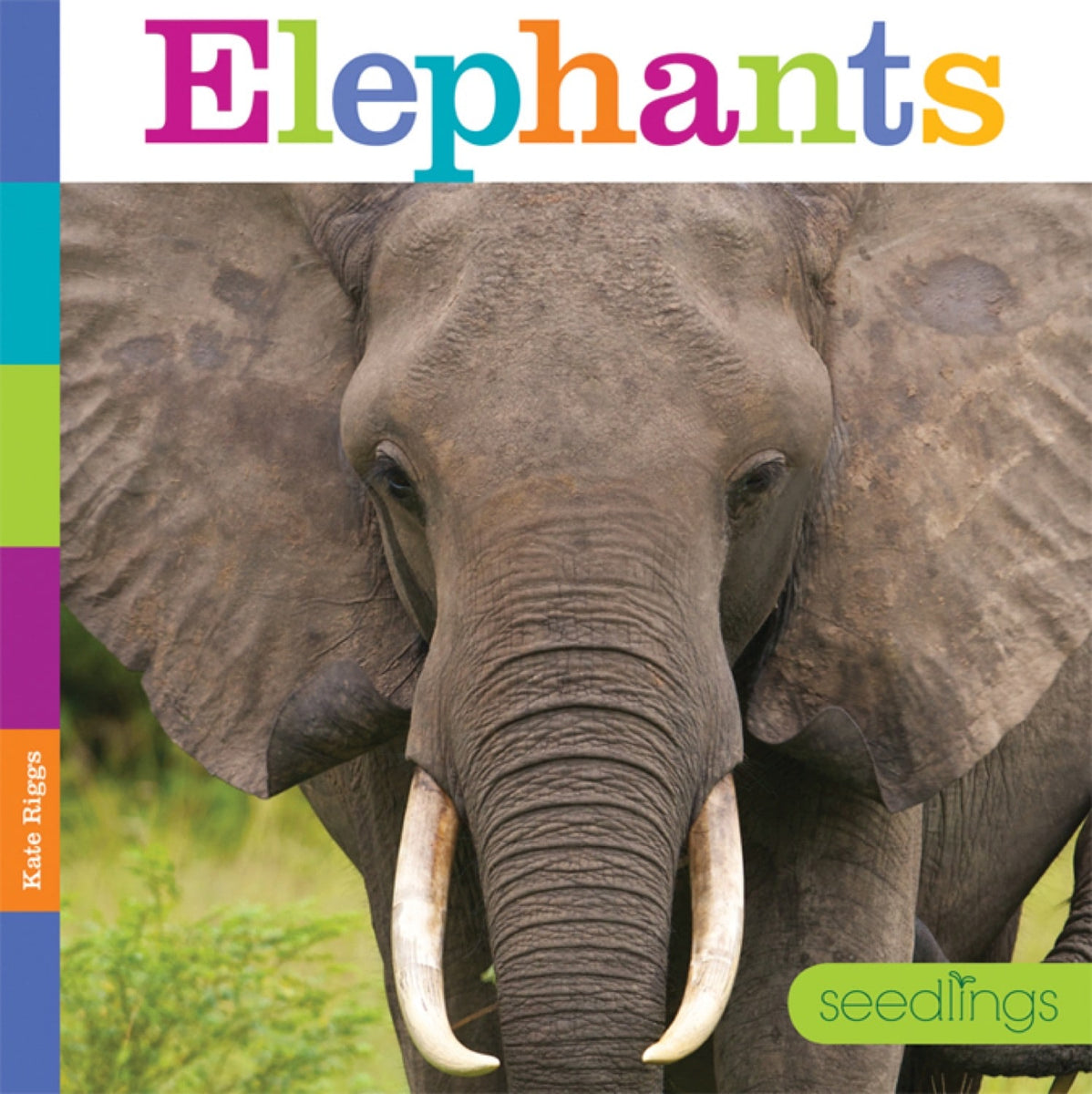 Elephants – The Creative Company