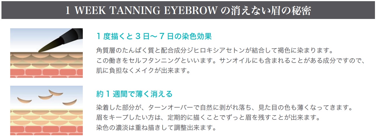 マツエク商材 | アイブロウ商材【THREE BEAUTYオンラインストア