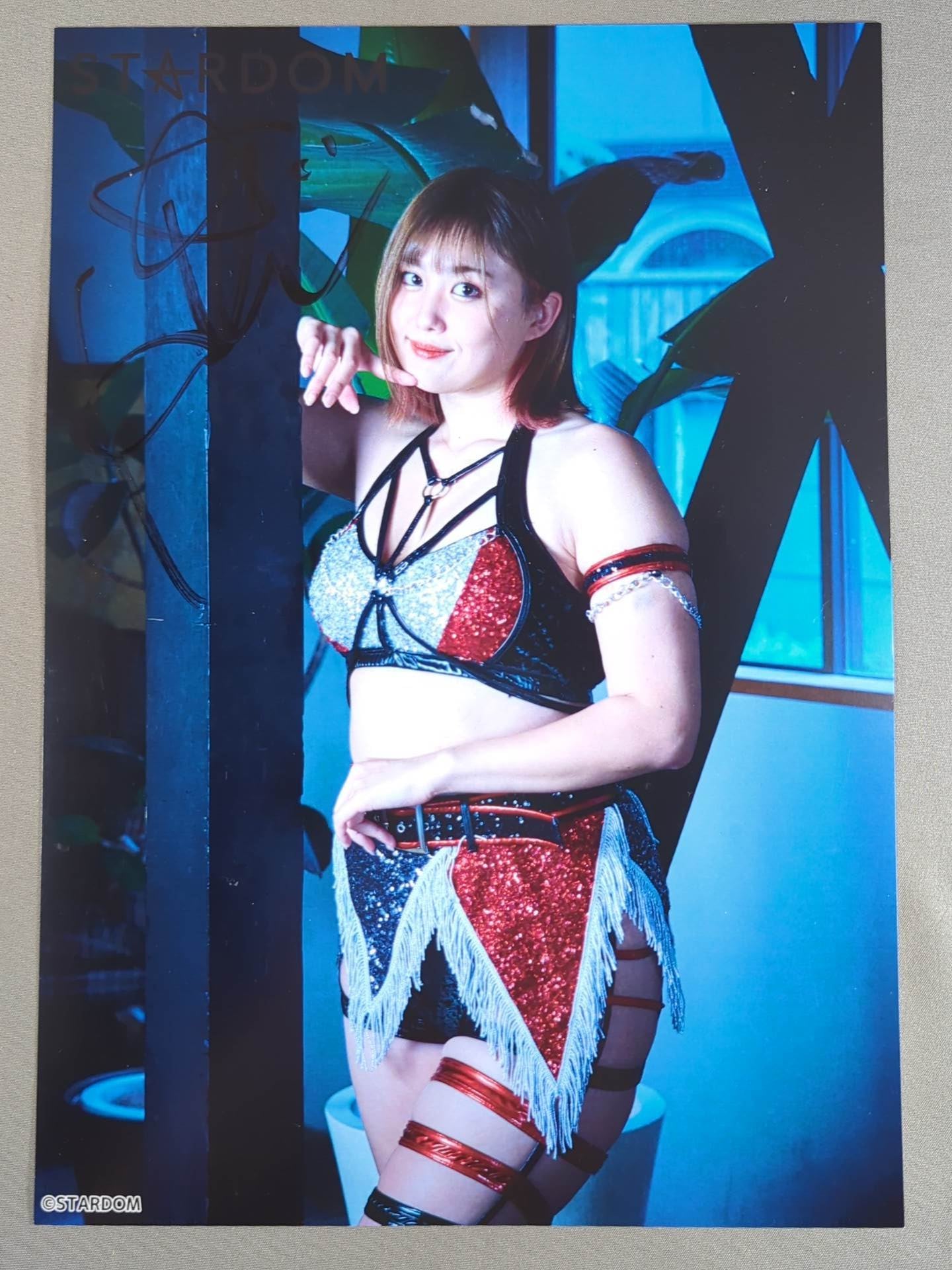 ひめか 直筆サイン入り スターダムポートレート(P-2) – 闘道館