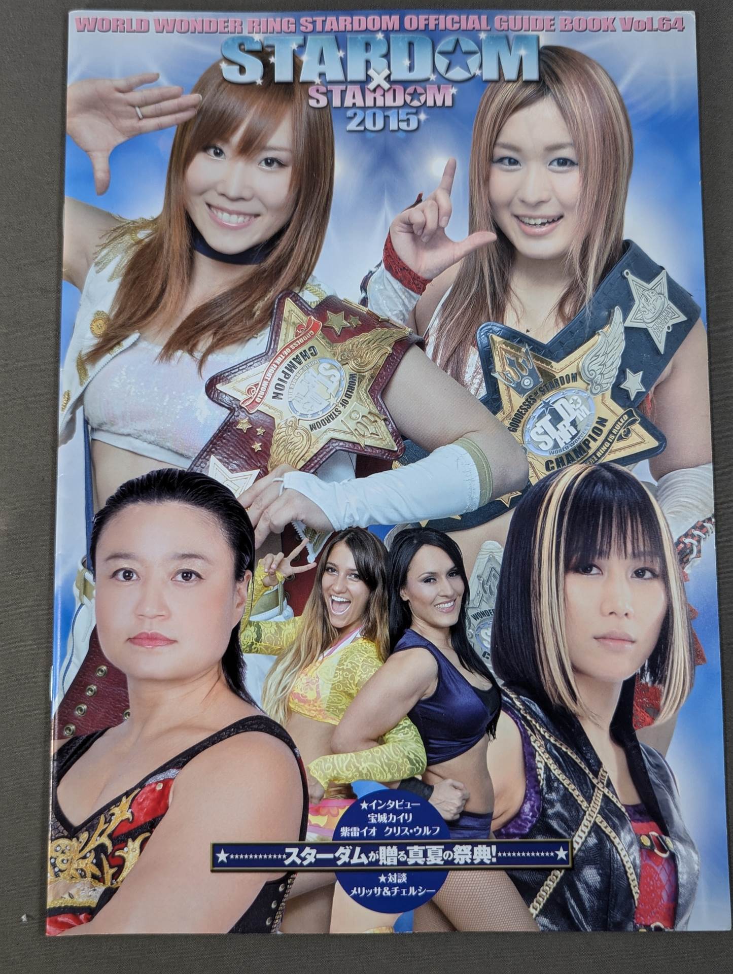 ☆紫雷姉妹ラストタッグ☆ STARDOM OFFICIAL GUIDE BOOK Vol.64 – 闘道館