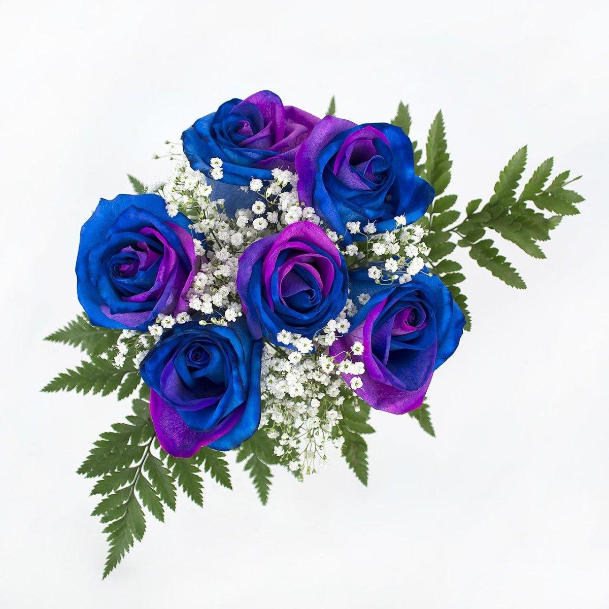 Pink and Blue Dyed Rose Bouquet 6-Stem | pink and blue roses