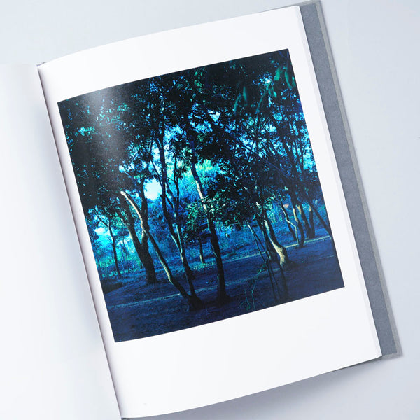 We are Made of Grass, Soil, Trees, and Flowers｜山元彩香 – T&M