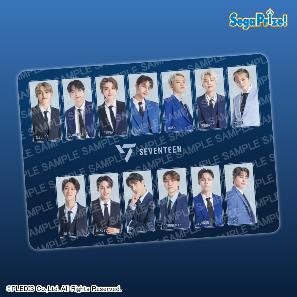 in the soop seventeen ブランケット in the soop seventeen ブランケット